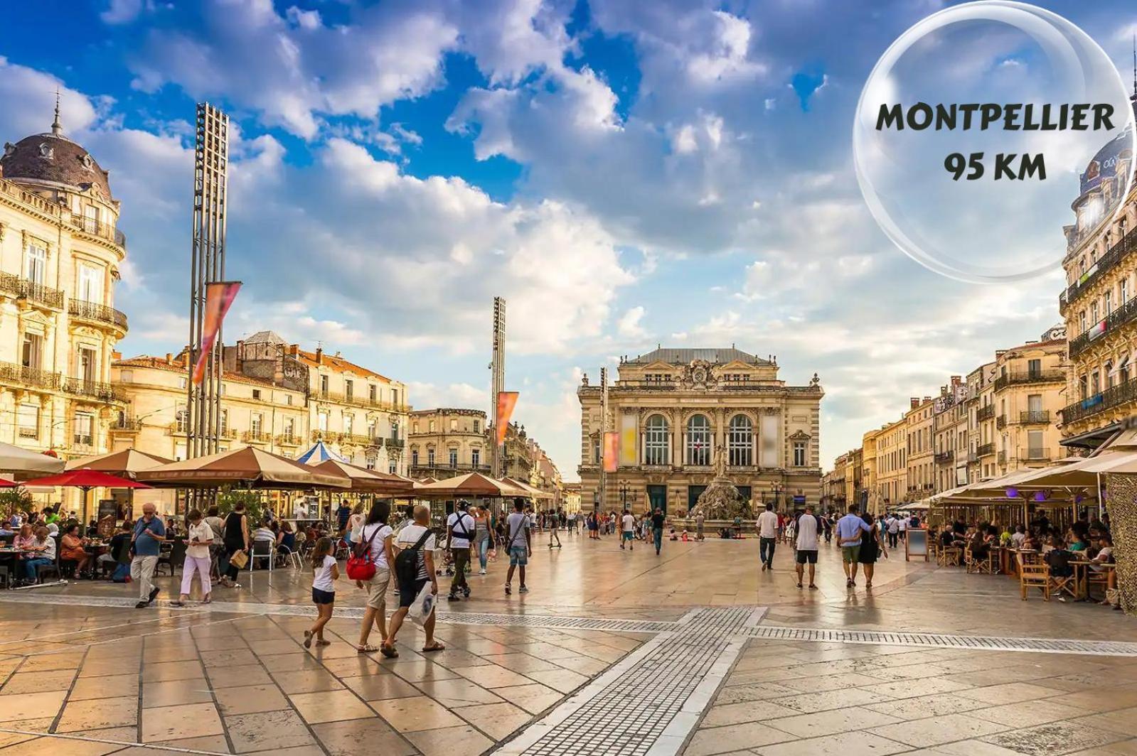 شقة Le Cosy Du Gal, A 2 Pas Du Palais Des Papes Parking Gratuit Securise أفينيون المظهر الخارجي الصورة