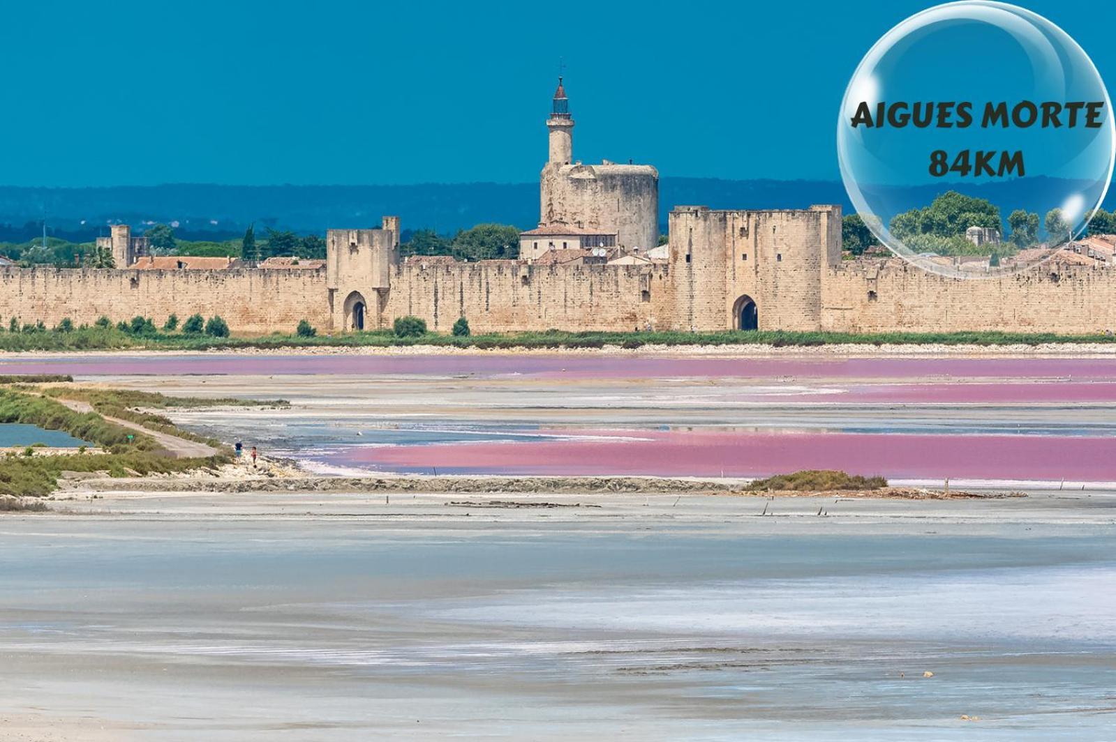شقة Le Cosy Du Gal, A 2 Pas Du Palais Des Papes Parking Gratuit Securise أفينيون المظهر الخارجي الصورة