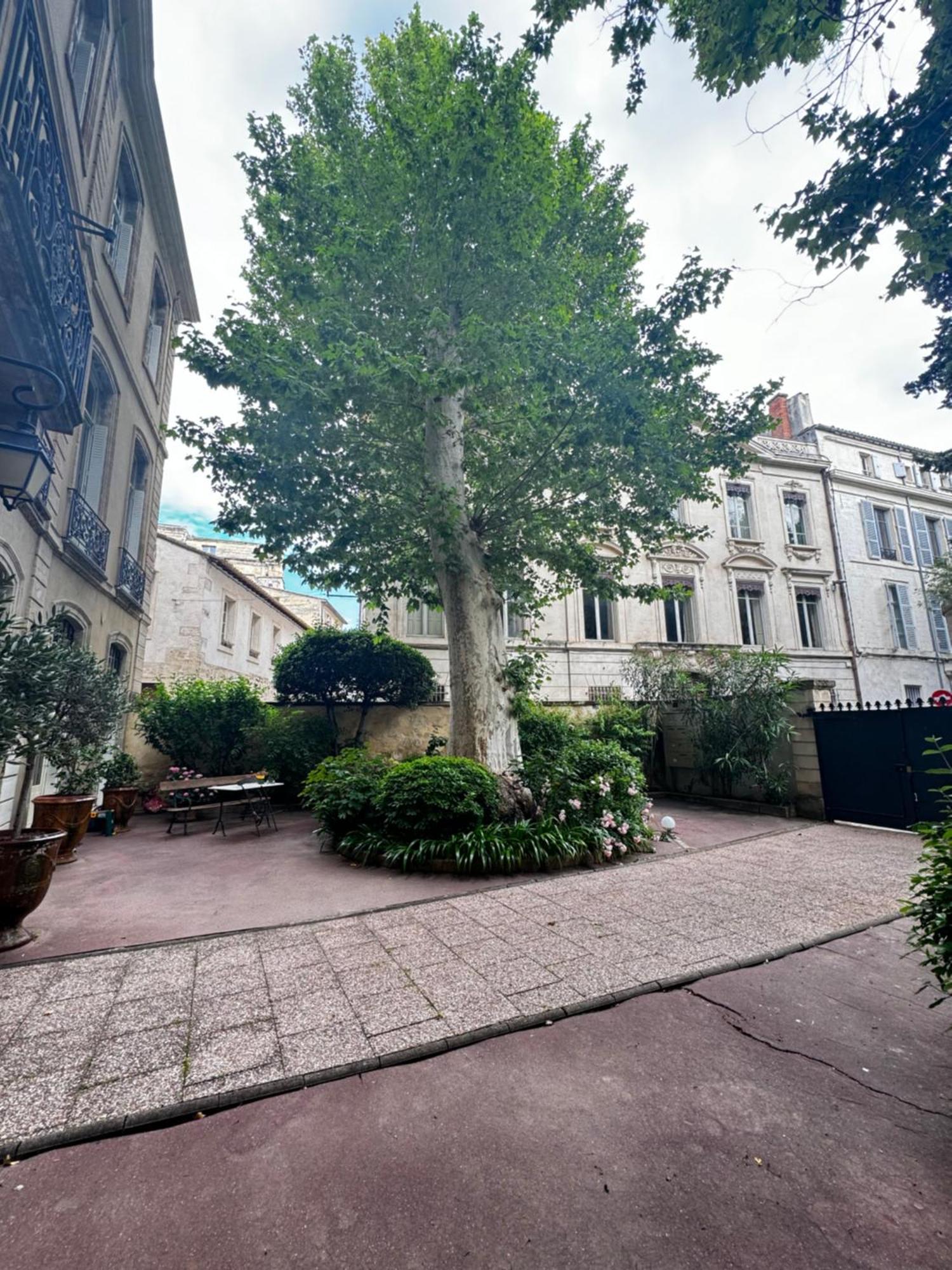 شقة Le Cosy Du Gal, A 2 Pas Du Palais Des Papes Parking Gratuit Securise أفينيون المظهر الخارجي الصورة